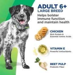 Hill's Bioactive Recipe Adult 6+ Large Breed Thrive + Vigor Chicken & Brown Rice Dry Dog Food, 603755, 22.5 LB Bag 7 Hill's Bioactive Recipe Adult 6+ Large Breed Thrive + Vigor Chicken & Brown Rice Dry Dog Food, 603755, 22.5 LB Bag -Pets Sales Store sftp a s assets20211202000000041