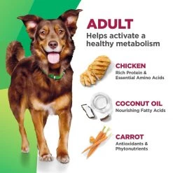 Hill's Bioactive Recipe Adult 1-6 Fit + Radiant Chicken & Barley Dry Dog Food, 603762, 11 LB Bag -Pets Sales Store sftp a s assets20211202000000057