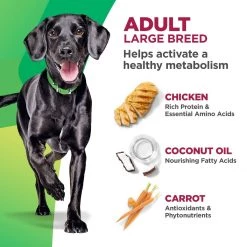 Hill's Bioactive Recipe Adult 1-5 Large Breed Fit + Radiant Chicken & Barley Dry Dog Food, 603764, 22.5 LB Bag -Pets Sales Store sftp a s assets20211202000000065