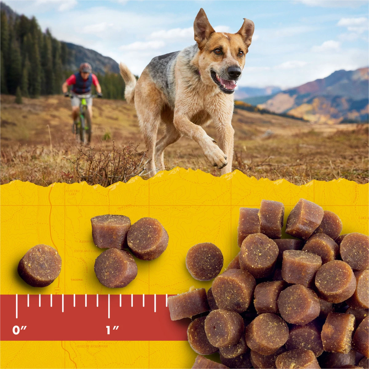 Zukes Mini Naturals Dog Training Treats Beef Recipe, Soft Dog Treats, 3330601, 16 OZ Pouch 4 Zukes Mini Naturals Dog Training Treats Beef Recipe, Soft Dog Treats, 3330601, 16 OZ Pouch - Image 4