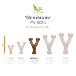 Benebone Wishbone Chicken Medium, 820600 -Pets Sales Store sftp a s assets20220718000000054
